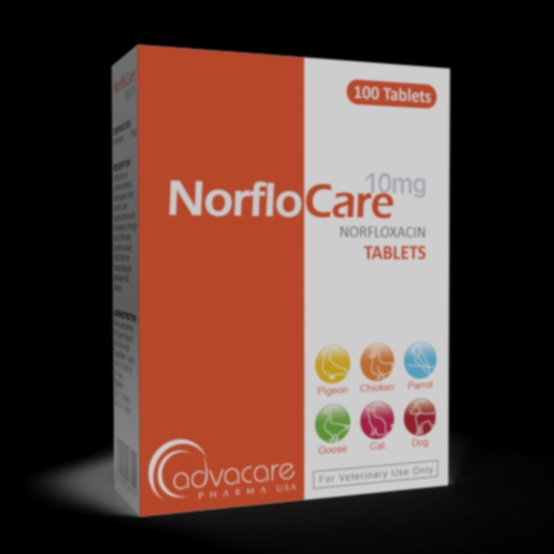 norfloxacin